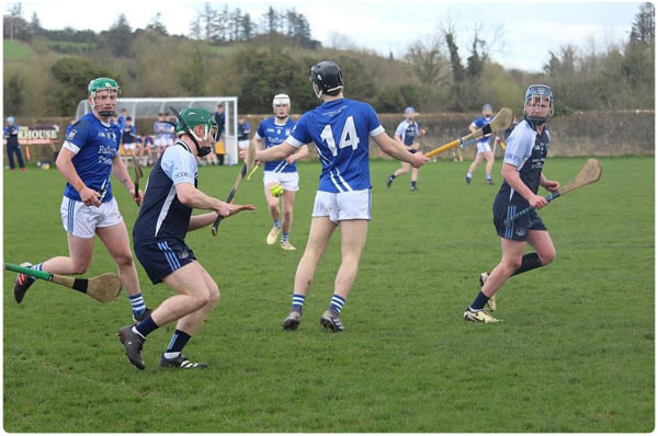 433559752 940549494429646 1728879206423865006 n