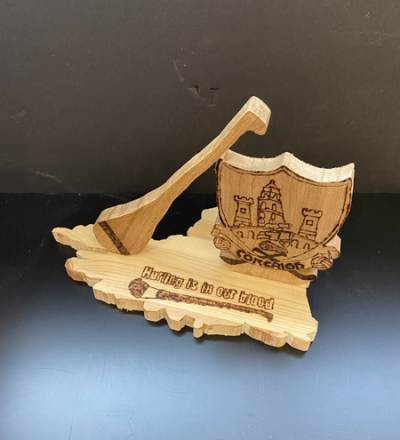 JnrCertWoodProjects 10