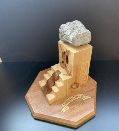 JnrCertWoodProjects 12